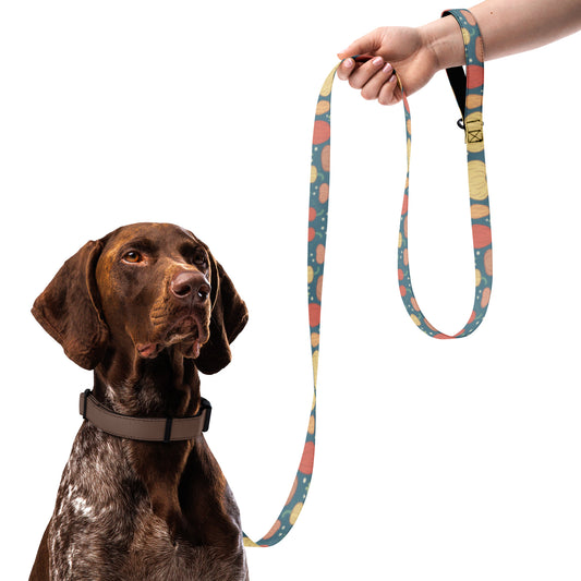 Pumpkin Pet leash